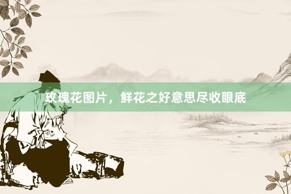 玫瑰花图片,鲜花之好意思尽收眼底